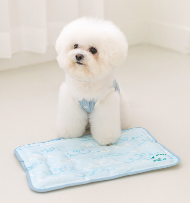 Pet Cooling Mat [SSFW]