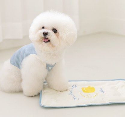 Pet Cooling Mat [SSFW]