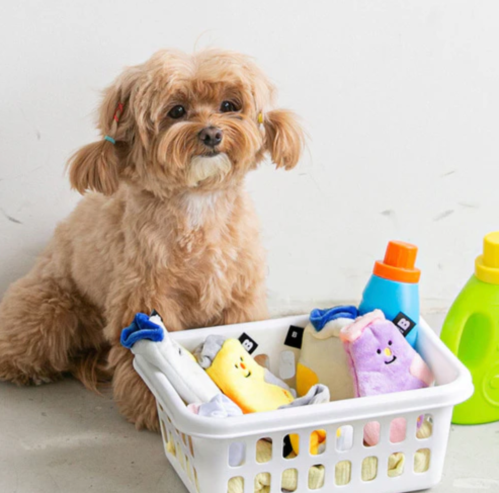 Sock Snuffle Toy