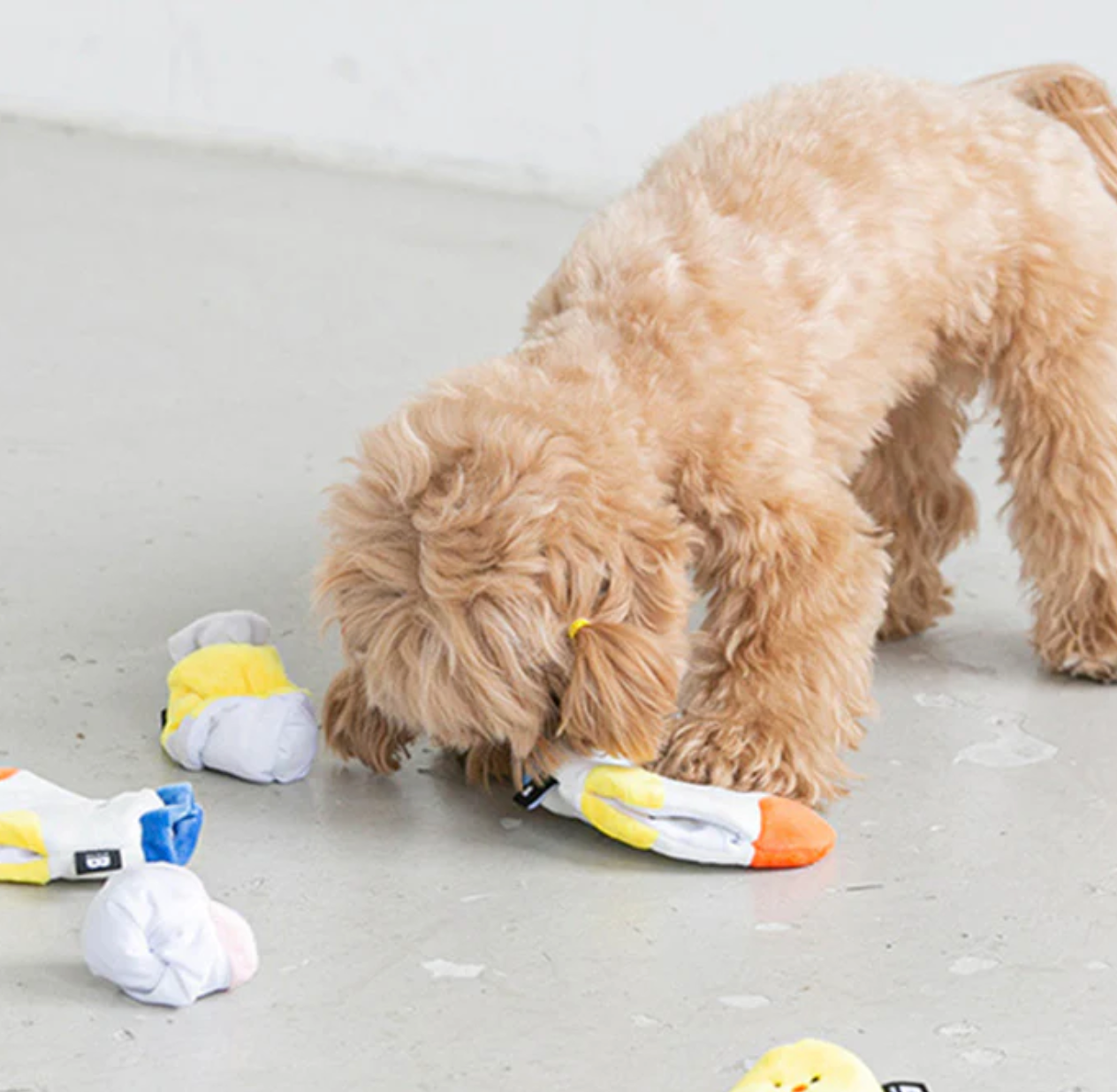 Sock Snuffle Toy