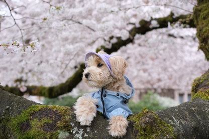 Adjustable Pet Sun Hat