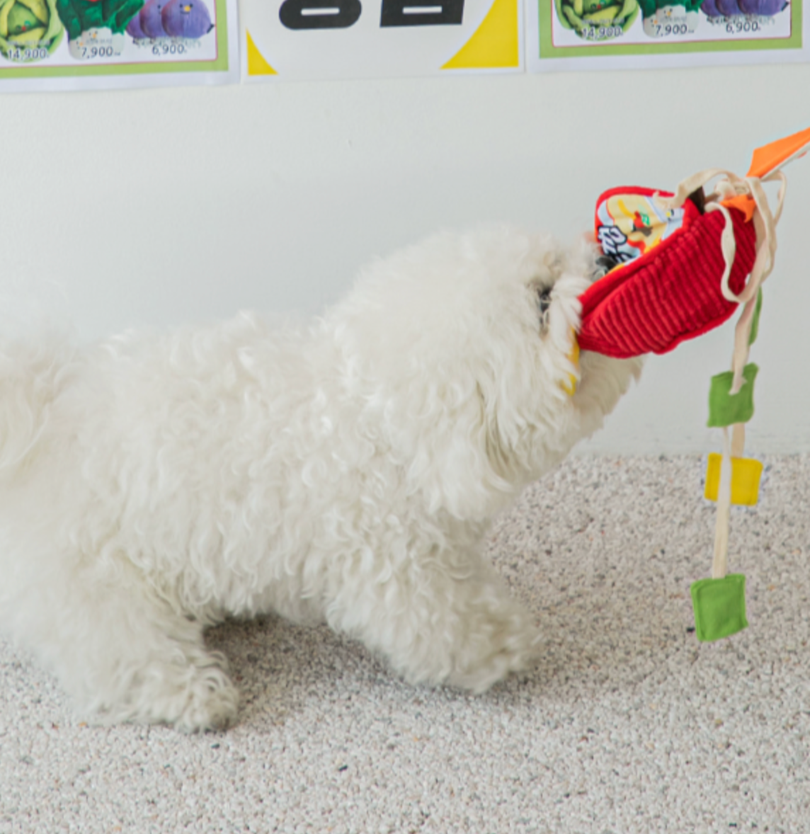 Ramen Bowl Nosework Toy