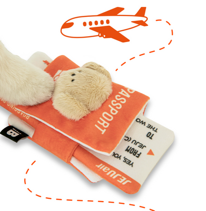 Pet Passport + Ticket Nosework Toy