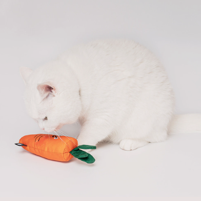 Carrot Catnip Toy