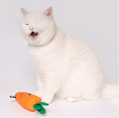 Carrot Catnip Toy