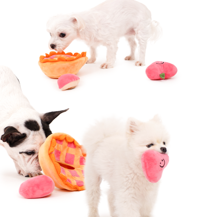 Peach Pie Nosework Toy